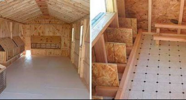 Rozměry místnosti pro indo-dívky a vybavit drůbežárnu vlastníma rukama